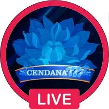 Review Aplikasi cendana777 dan dagelan4d: Rangkuman Brand yang Banyak Dicari